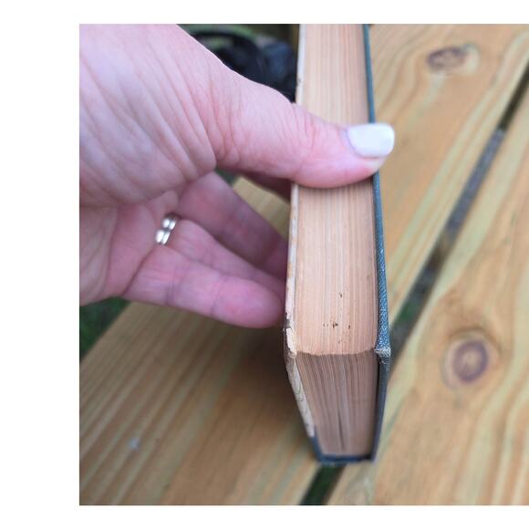 Rare 1884 A Thousand and One Gems English Poetry Antique HC Book Flowers - Picture 4 of 7